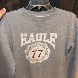 American Eagle Outfitters Gray Sweatshirt